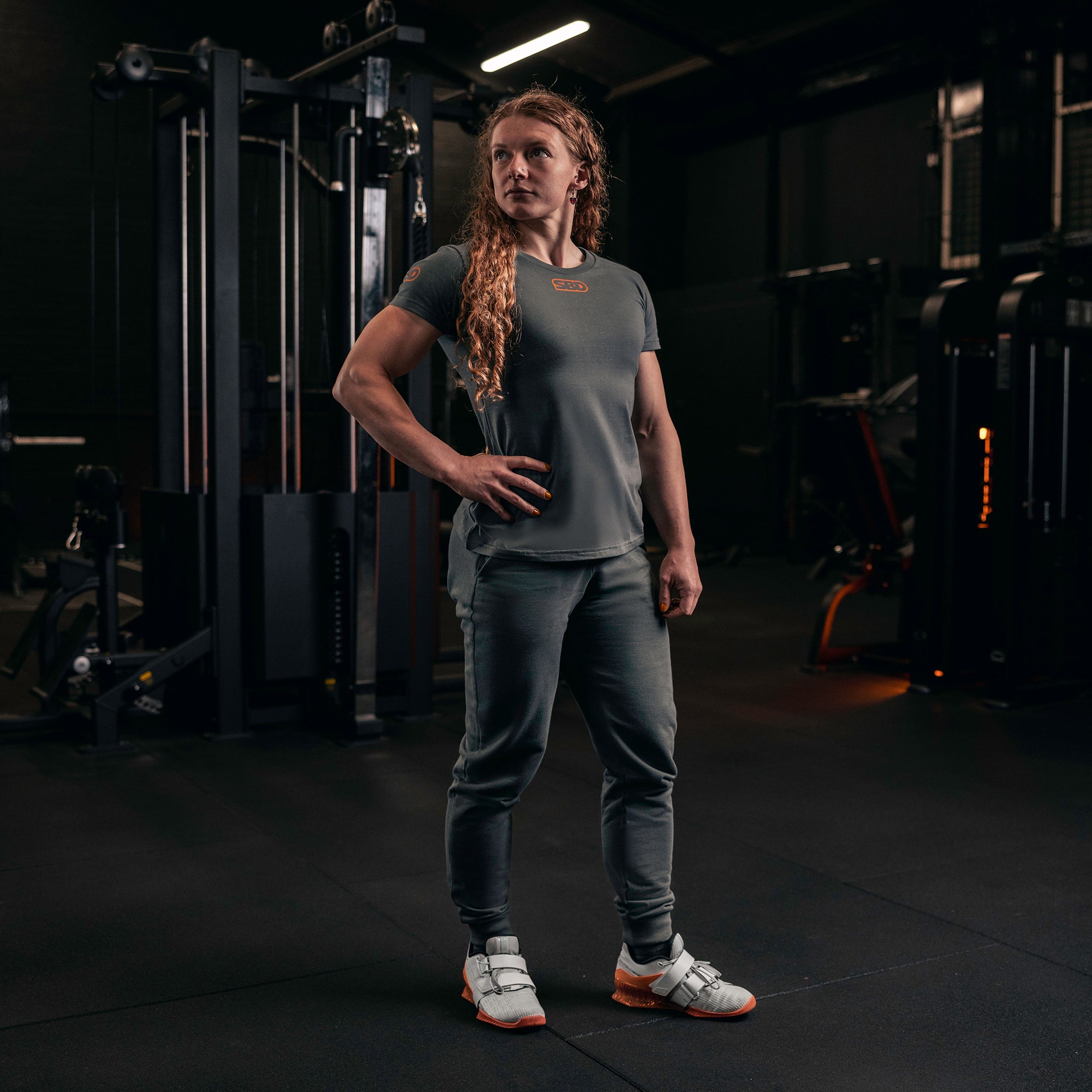 SBD Wettkampf T-Shirt  grau (Limitierte Forge Edition)